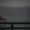 rainy