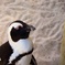 日陰でのんびり