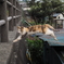 飛びネコ！①
