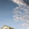 20150417_080102