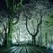 20150417_215028