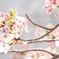 まだ間に合った