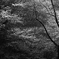 frequency 0644