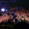 夜桜