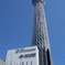 快晴のスカイツリー