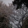 R0014698
