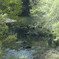 新緑が映える