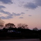 夕暮れ