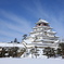 雪の鶴ヶ城