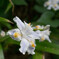 20150419-_DSC0112