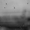 雨