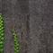 IMGP0864