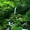 白糸の滝①