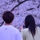 花見