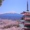 富士山×桜