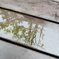 雨の休日