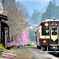 花の駅