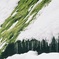 茅葺屋根