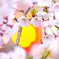盛岡・夜桜 IV