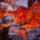 紅葉　山中湖