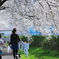 休日の桜道　その２　