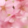 ここにいるよ。。