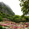 御船山楽園