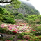 御船山楽園