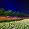 Illumination blue