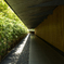 Light & shadow in Tokyo