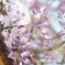 DSC00607