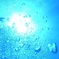 海中から太陽を見上げて、、わ