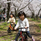 ダッシュ桜並木道