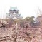 大阪城
