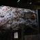 潜桜