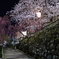 苔桜坂