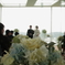happy wedding