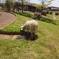 2015-04-24-12-26-49_photo
