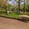 2015-04-24-12-27-16_photo