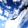 空