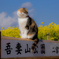 気持ちいい～(=^・^=)♬