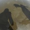 いつの日かの水影