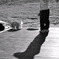 A child's shadow