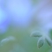 夢幻