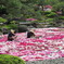由志園牡丹・庫出し