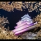 不夜城