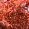 初夏の紅葉その2