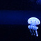 ひとりぽっちの宇宙旅行