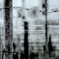 Barbed Wire