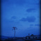 月夜の一本松